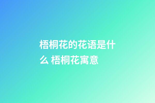 梧桐花的花语是什么 梧桐花寓意